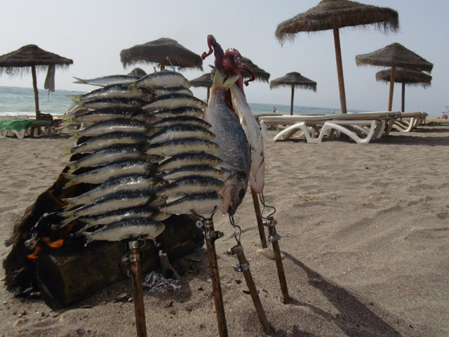 el cuento de las 7 sardinas espetos en la playa mojacar